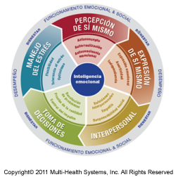 What Is Emotional Intelligence?